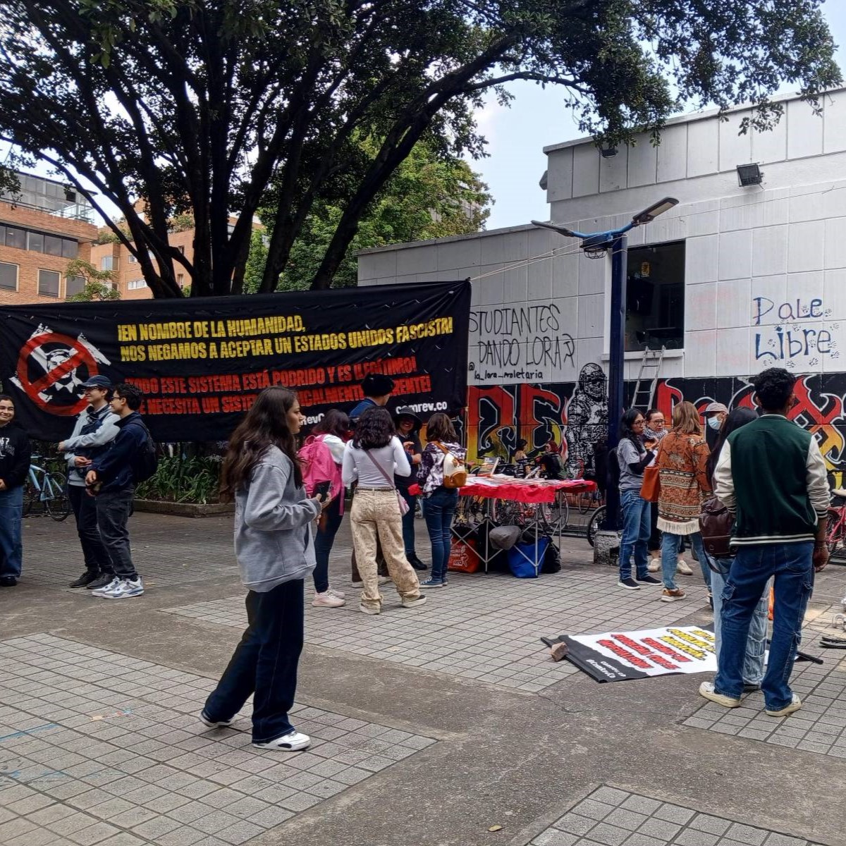 ¡Alto YA a la limpieza étnica del pueblo palestino!